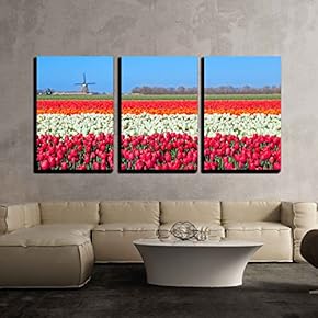3 Piece Canvas Wall Art - Colorful Tulip Fields and Dutch Windmill in North Holland - Modern Home Art Stretched and Framed Ready to Hang - 16"x24"x3 Panels