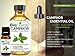 BioFinest Camphor Oil - 100% Pure Camphor Essential Oil - Premium Quality - Therapeutic Grade - Best For Aromatherapy - FREE E-Book (10ml)