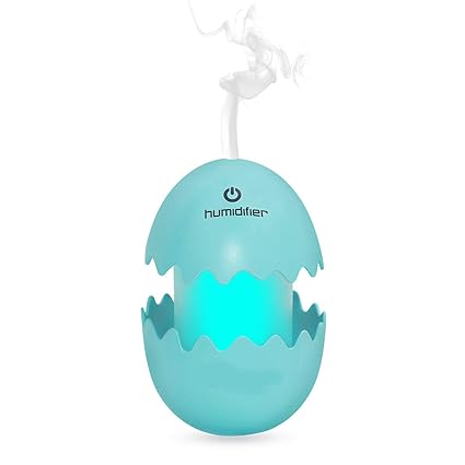 Skyfish Egg Shaped Air Freshener Humidifier with LED Night Light for Car Home and Office (Multi