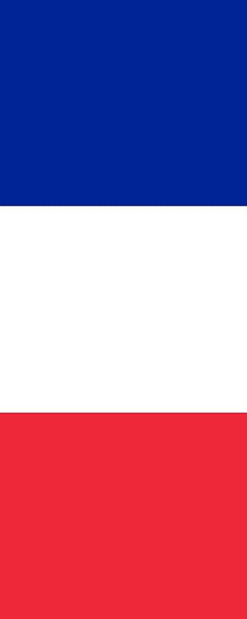 Magflags Bandera Francia Bandera Vertical 3 5m 300x120cm Amazon Es Jardin