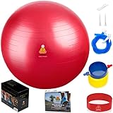 Exercise Ball Stability Fitness Balls | Best Professional Balance Anti-Burst Set – Yoga Large Thick Gym Ball With Pump & Accessories, Extra Pin For Valve, Elastic Loop & Hard Cover Workout Guide