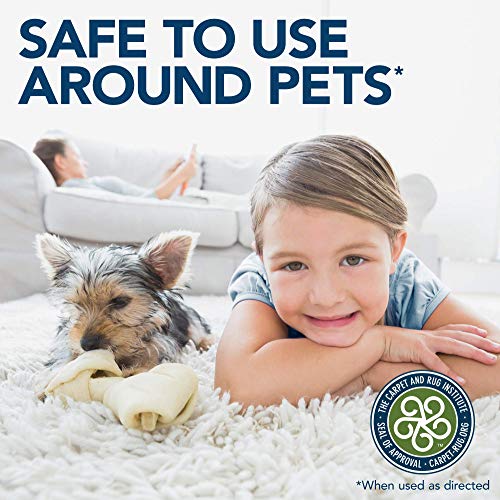 Simple Solution Pet Stain and Odor Remover Enzymatic Cleaner with 2X