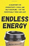 Endless Energy: A Blueprint for Productivity, Focus, and Self-Discipline - for the Perpetually Tired and Lazy