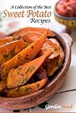 A Collection of the Best Sweet Potato Recipes: Tasty and Healthy Sweet Potato Recipes