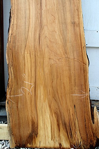 Spalted Live Edge Coffee Table Top Natural Hard Maple Raw Wood