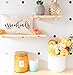The Cotton & Canvas Co. Essentials Cosmetic Bag and Travel Make Up Pouch