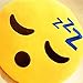 YINGGG Cute Sleeping Emoji Pillow Round Throw Pillow, 32x32x10CM