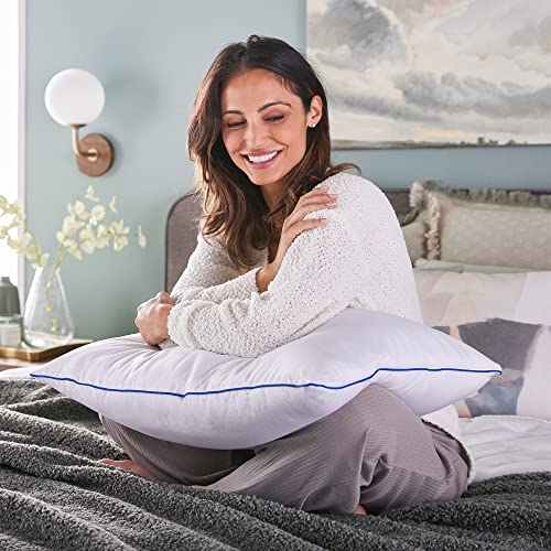 2 in 1 memory foam pillow