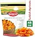 Sunbest Natural Jumbo Turkish Dried Apricots – 3lb Bulk Bag (48 oz) Soft & Sweet Dried Fruit Snacks – No Sugar Added, Non-GMO, Gluten-Free, Vegan – Healthy Fruit Snack for Kids & Adults, Great for Baking & Cooking
