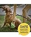 Pets N Bags Dog Poop Bags, Dog Waste Bags, Biodegradable Unscented Refill Rolls, Includes Dispenser