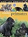 Nos cousins, les primates (1DVD) (French Edition) by 