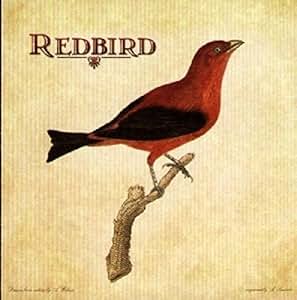 REDBIRD - Redbird - Amazon.com Music