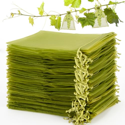 Sukh 50PCS Fruit Protection Bags - 6