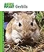 Gerbils (Animal Planet® Pet Care Library) by Sue Fox