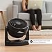 IRIS USA Large WOOZOO Oscillating Vortex Desk Fan with 3 Speed Settings and 6 Tilting Head Settings, Quiet and Compact Tabletop Air Circulator Fan with 74 Ft Max Air Distance, Black