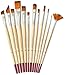 Studio Series Artist's Paint Brush Set (12 highest quality nylon brushes)