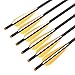 Crossbow Bolts Hunting Carbon Hunting Carbon Archery Arrow 18 Inch with Replaceable Arrow Tips 4 Inch Plastic Vanes(CT009,12PCS)