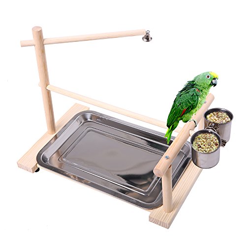 QBLEEV Parrots Playstand Bird Cage Playground Wood Perches Gym Stand Exercise Playgym Toys (Bird