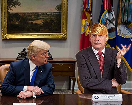 Funny Donald Trump Wig for Halloween – Special President Trump Costume Hairs & Wigs for Men, Adult and Kids