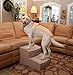Pet Gear Easy Step II Extra Wide Pet Stairs, 2-step/for cats and dogs up to 200-pounds, Tanthumb 1
