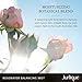 Jurlique Rosewater Balancing Mist - 3.38 oz-Organic Botanical Ingredients - Antioxidants Boost this Natural Face Toner - Moisturizes Normal/Combination Skin