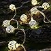 Battery Operated Silver Moroccan Orb LED Fairy Lights with 10 Warm White LEDs