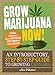 Grow Marijuana Now!: An Introductory, Step-by-Step Guide to Growing Cannabis by Alicia Williamson