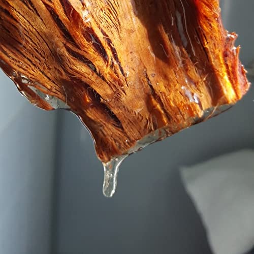 UUU Slippery elm bark & Tea tree natural detangling Shampoo and