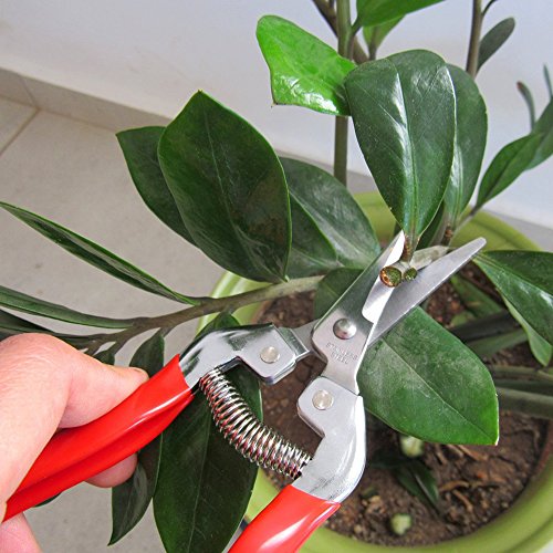 Thosdt Micro-Tip Pruning Snip,Florist Multi-Tasking Garden Scissors, Small Hand Pruner for Arranging Flowers, Trimming Plants & Harvesting Hydroponic Herbs - Thumbnail 5