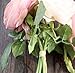 Artificial Rose Silk Pink Flowers 5 Flower Head Leaf DIY Home Table Garden Wedding Decor (Pink) ,KESEE