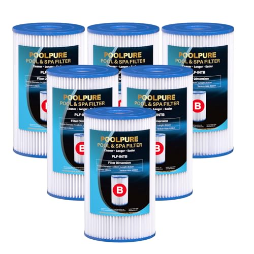 POOLPURE Lot de 6 Cartouche Type IV/B, Cartouche de Filtration B pour 58095 et 29005/59905, Filtre de Piscine pour Pompe de Filtration, 14,5 x 14,5 x 25,5 cm