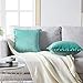 Top Finel Decorative Throw Pillow Covers with Pom Poms Soft Particles Velvet Solid Cushion Covers 18 X 18 for Couch Bedroom Car, Pack of 2, Teal