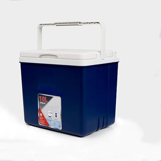 electric food cooler box