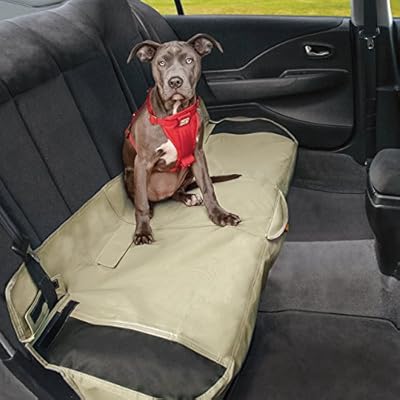 best grain free puppy food for small breeds