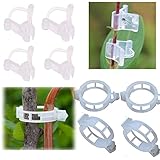 100 PCS Plant Support Garden Clips, 50 Tomato Vine Clips and 50 Grafting Clips for Vine Vegetables, Tomato, Cucumber, Eggplant to Grow Upright
