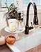 The Southern Jarring Co. Oil-Rubbed Bronze Stainless Steel Mason Jar Hand and Dish Soap Dispenser Lids (2) - Rustproof - Rustic Farmhouse Soap Pumps for Mason Jar Decor