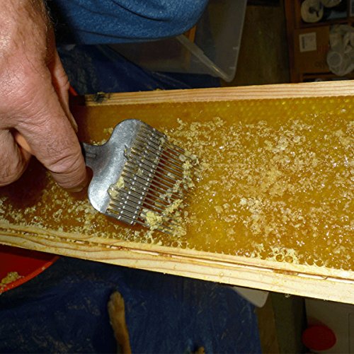 UMLIFE Uncapping Fork, Honey Bee Stainless Steel Tine Uncapping Scraper with Wooden Handle for Beekeeping Extracting Hive Hand Tool
