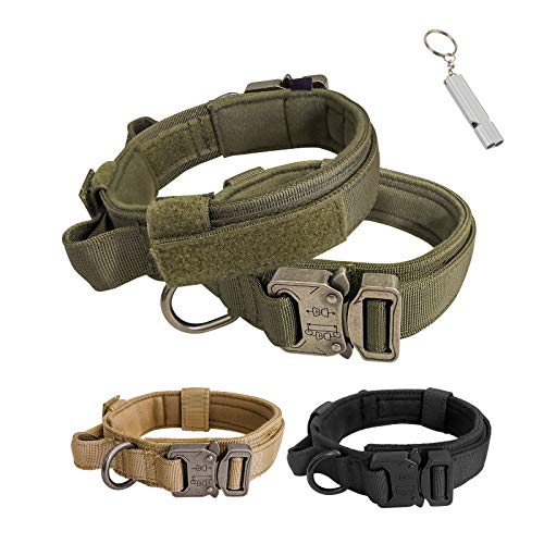 quick release dog collar