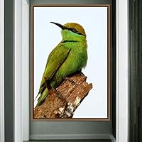 Framed Canvas Wall Art Single Bird Birds Expressive Farmhouse/Country Multicolor Photography Portrait Single - 16x24 inches