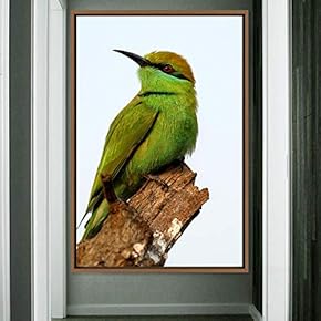 signwin Framed Canvas Wall Art Single Bird Birds...
