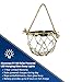 Moonrays Solar LED Buoy Hanging Light Made Of Glass (White)