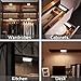 GAWAR Motion Sensor Closet Light, LED Night Light USB Rechargeable with 12 LEDs for Indoor Cupboard Wardrobe Kitchen Stairs (2 Packs)
