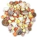Seashells Mixed Bag of 200 Assorted Piece Bulk Pack for Home Kitchen Offices Indoors and Outdoors Wedding Baby Shower Birthday Summer Beach Nautical Theme Kids Party Favor Craft Supplies Décor