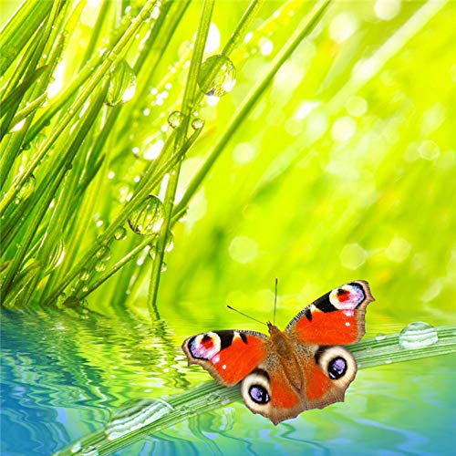 Tzdzuanshihua Butterfly Water DIY 5d Diamond Painting Cross Stitch Mosaic Pictures Diamond Embroidery Cross Stich Needlework Butterfly,40x40cm
