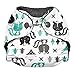 Imagine Baby Products Newborn Stay Dry All-in-One Snap Diaper - Lil Stinker
