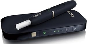 Chicago Faucets 1100-G2E3-317AB Commercial Grade High Arch Kitchen Faucet with W, Chrome