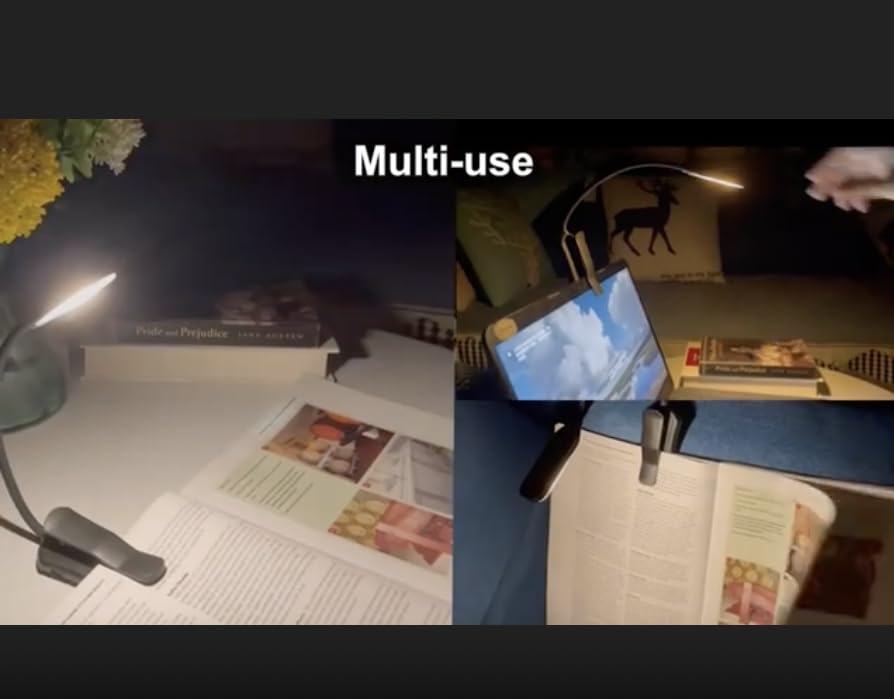 Rechargeable Mini Reading Night Light LED 3-Level Warm Cool White Flexible Easy Lamp Clip