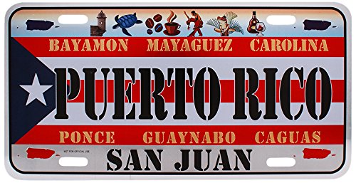 Dimension LP076 9 Home Decorative Plate, Puerto Rico, Large