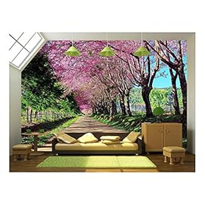 Cherry Blossom Pathway in Chiangmai, Thailand - Removable Wall Mural | Self-Adhesive Large Wallpaper - 66x96 inches