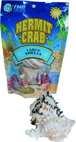 Mojetto Shells for Hermit Crabs - Large - 2 pk